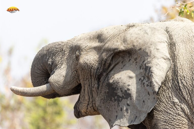 461802860 18459137104049330 4649244272127216059 n 768x511