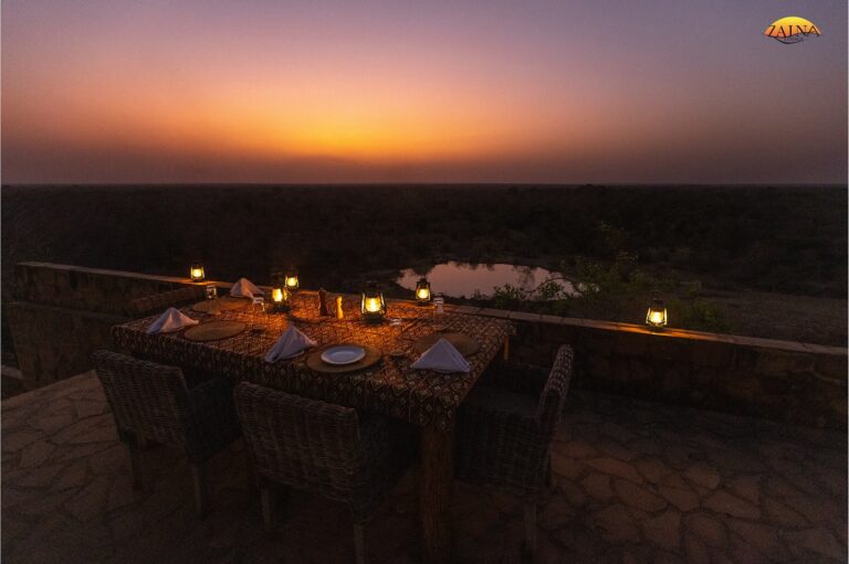 462093258 18459804526049330 7868082815597295377 n 768x511