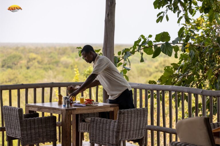 462508749 18460714801049330 5861152648270482776 n 768x511