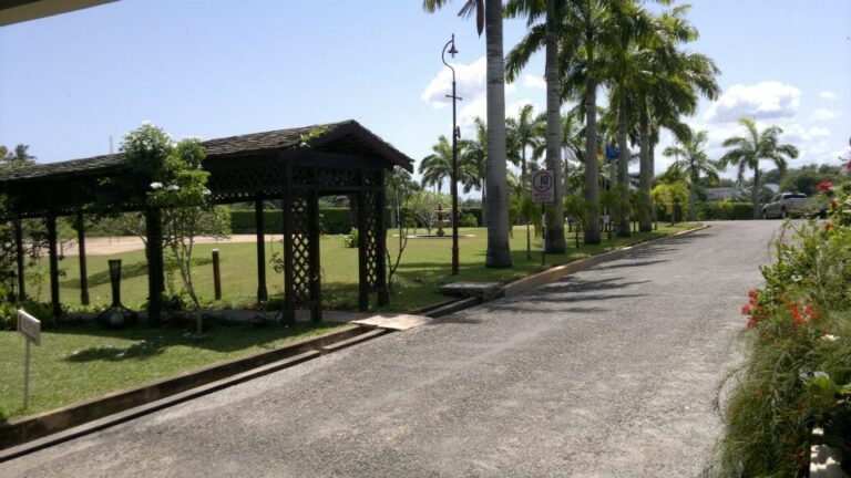 463523872 9162272727135160 8646786268338971220 n 768x432