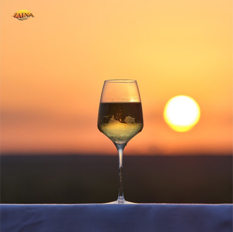 463615556 18462515638049330 5659537581158534778 n 768x764