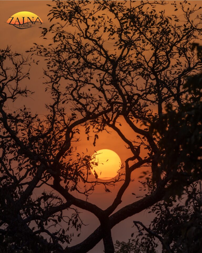 464202388 18463578316049330 4945802132390864948 n 768x960