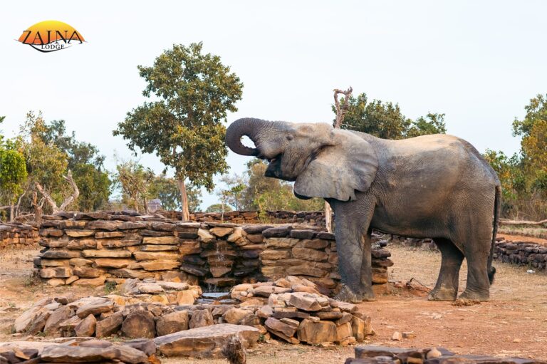 464463761 18463755679049330 5811727488042104402 n 768x511