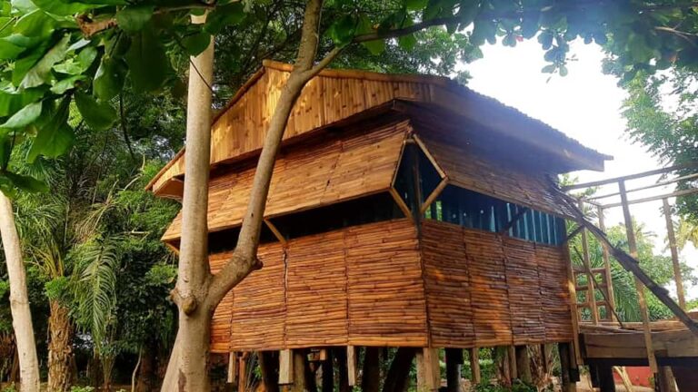 60800274 10155961898576300 7755185913948274688 n 768x432