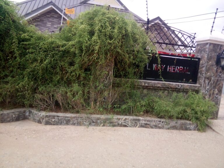 IMG 20190225 102511 768x576