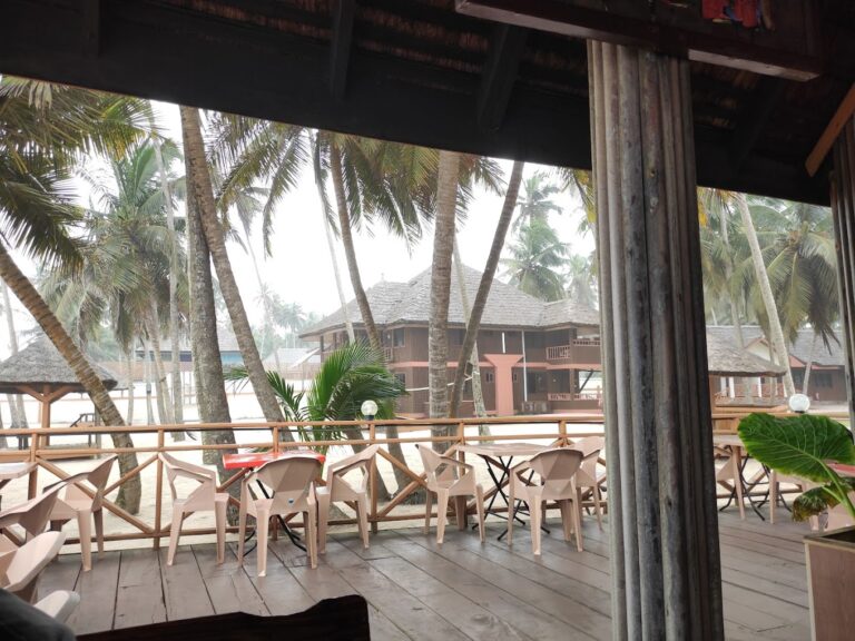 IMG 20210811 154910 768x576