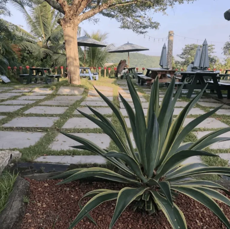 Screen Shot 2021 05 23 at 6.12.23 PM 980x973 1 768x763