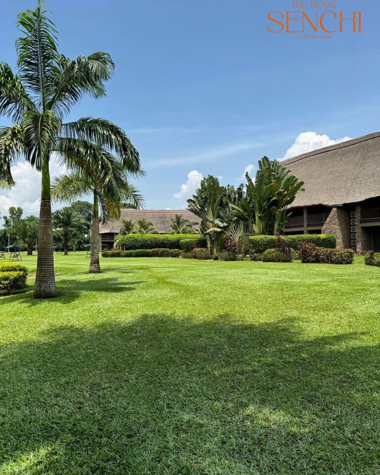 Sunny skies and tropical vibes 768x960