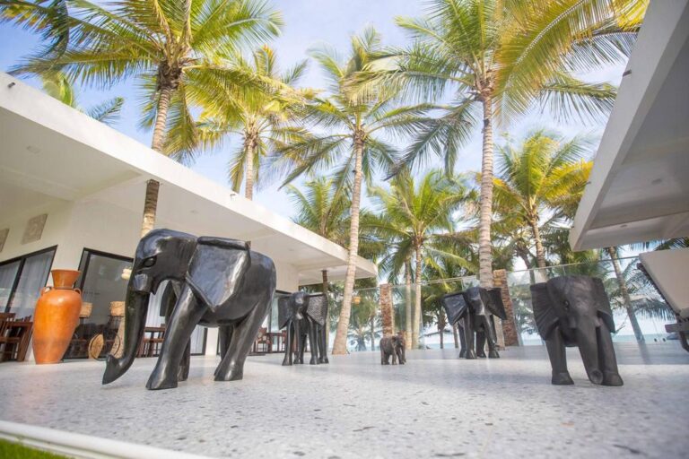 WhatsApp Image 2022 07 12 at 12.30.37 PM 768x512