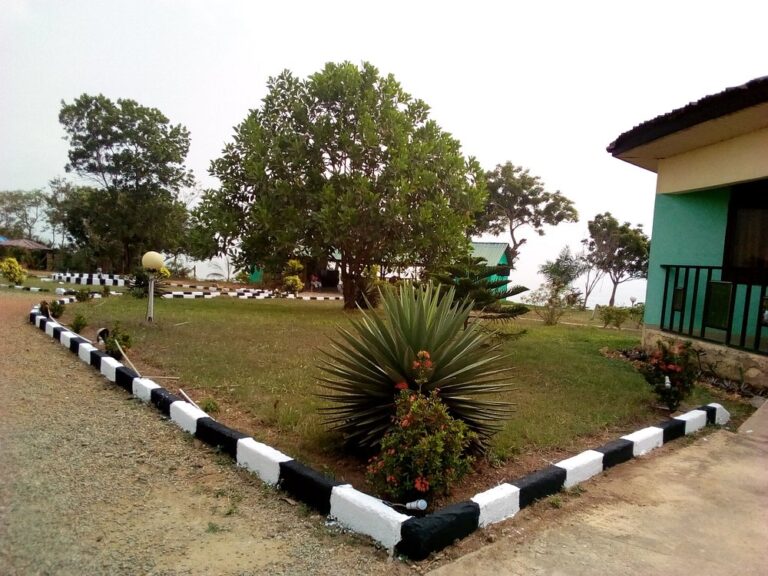 abuesi beach resort 1 768x576