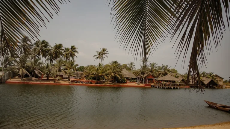 b05b4d 399312ab3904479cb889df532bf8d84emv2 768x431