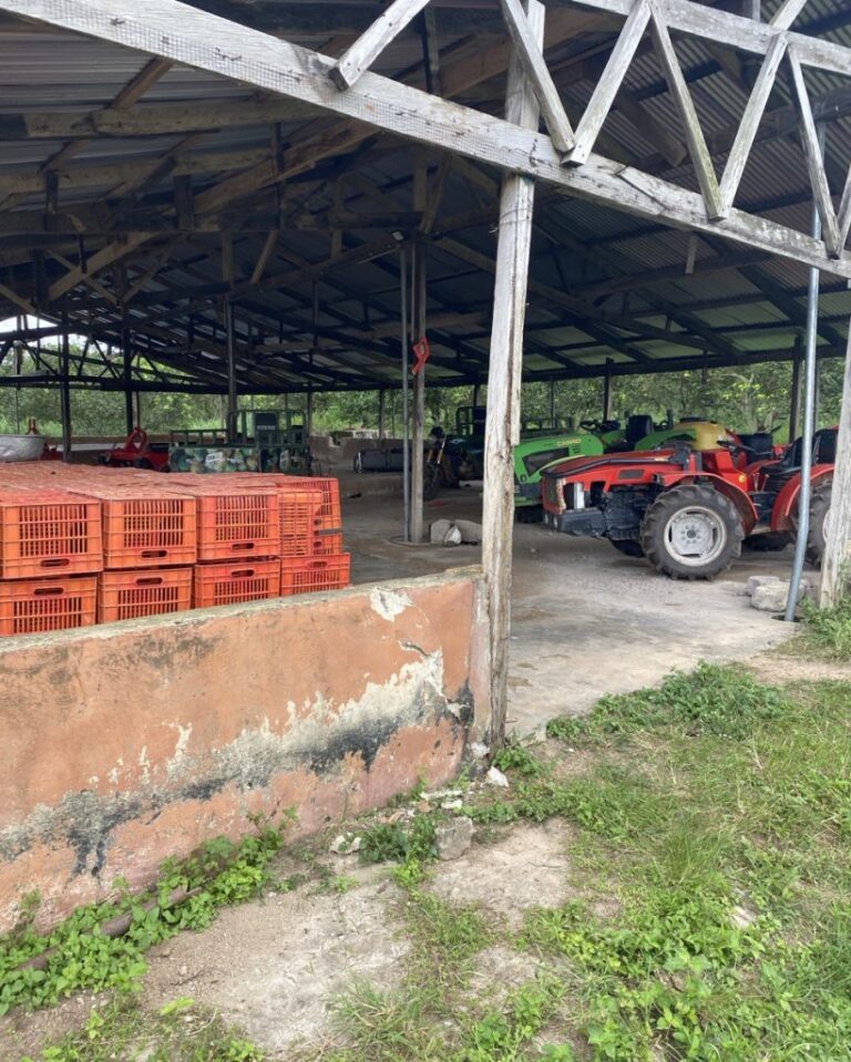 photo1696250524 4 qg2t5ls3btnn4vb51mt5eih7er8kqb98dwidd9we80 768x959