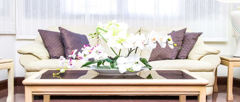 144581135 389242665515490 3962516841790298934 n 768x329