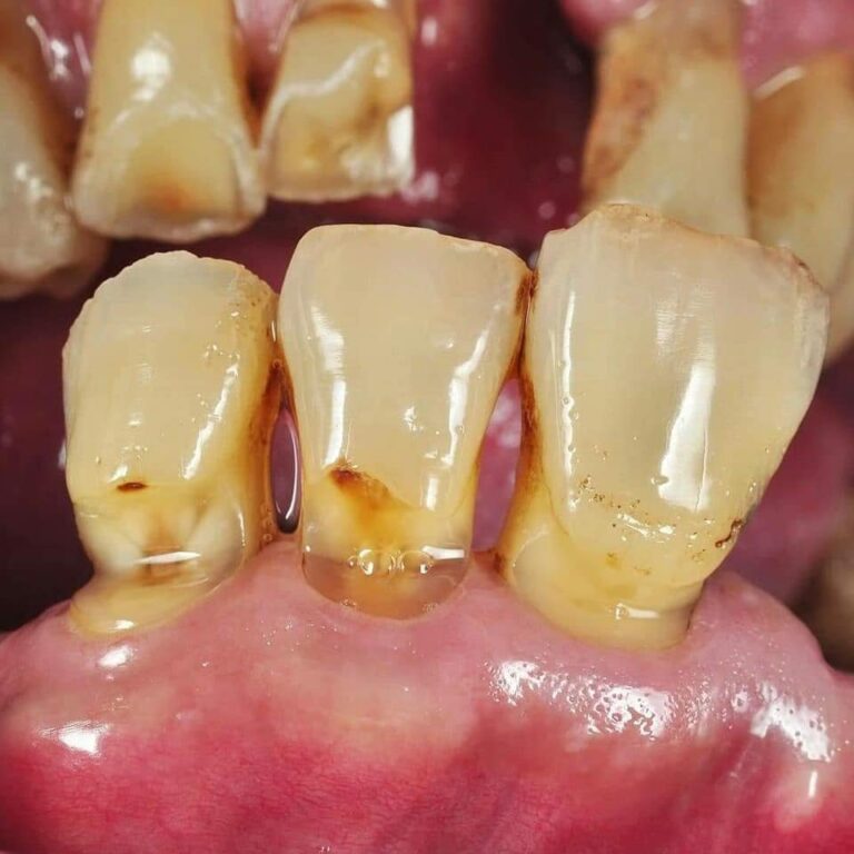 154064764 2817688875152149 8508363711633988245 n 768x768