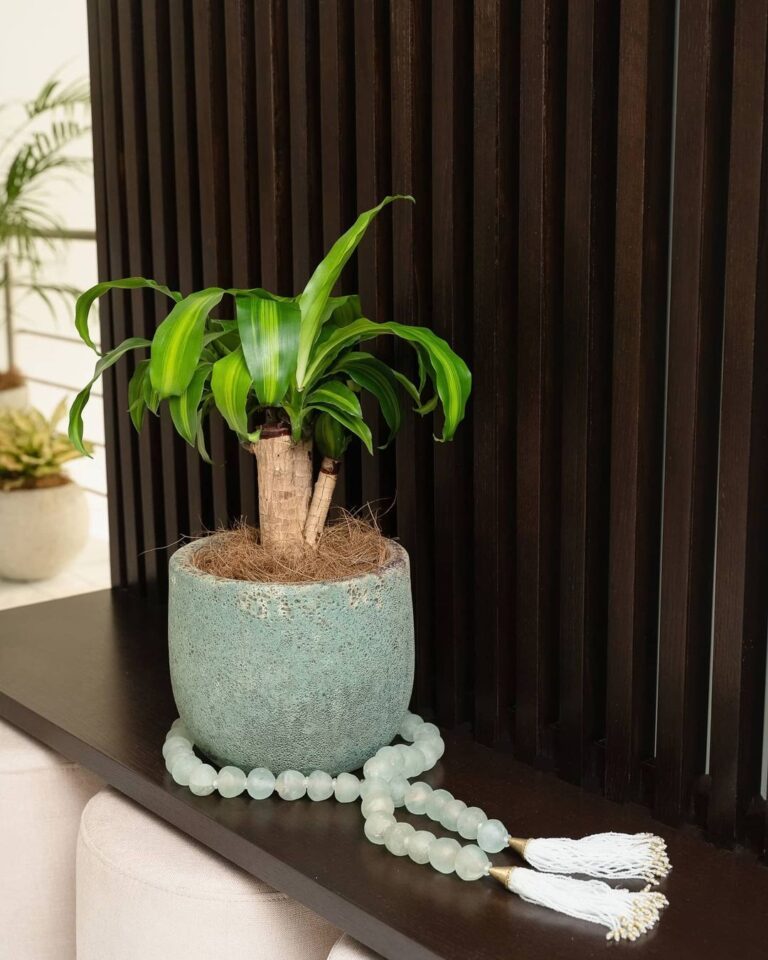 157109199 5064854400251325 589144253437650212 n 768x960