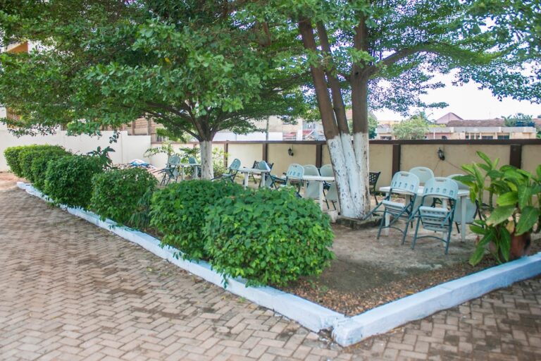 2023 07 26 2 768x512