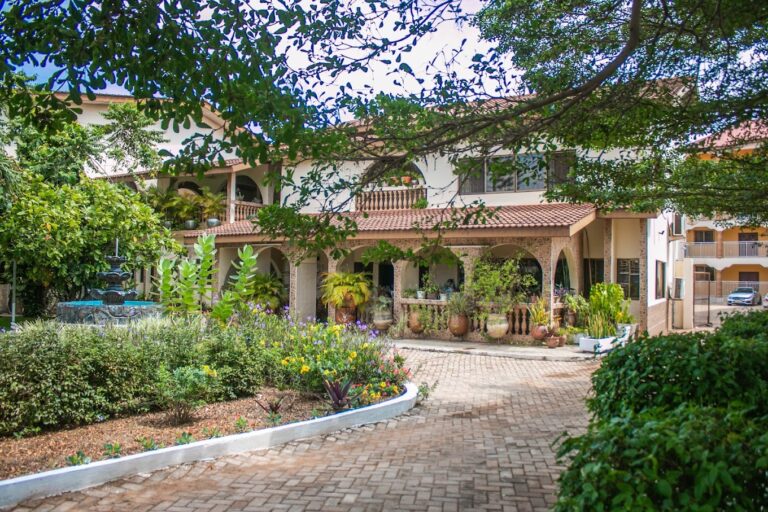 2023 07 26 4 768x512