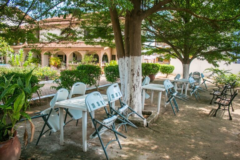 2023 07 26 5 768x512