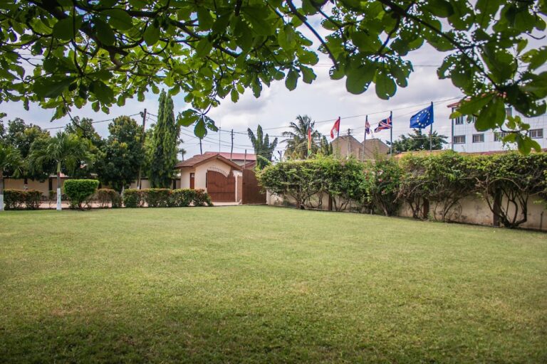 2023 07 26 6 768x512