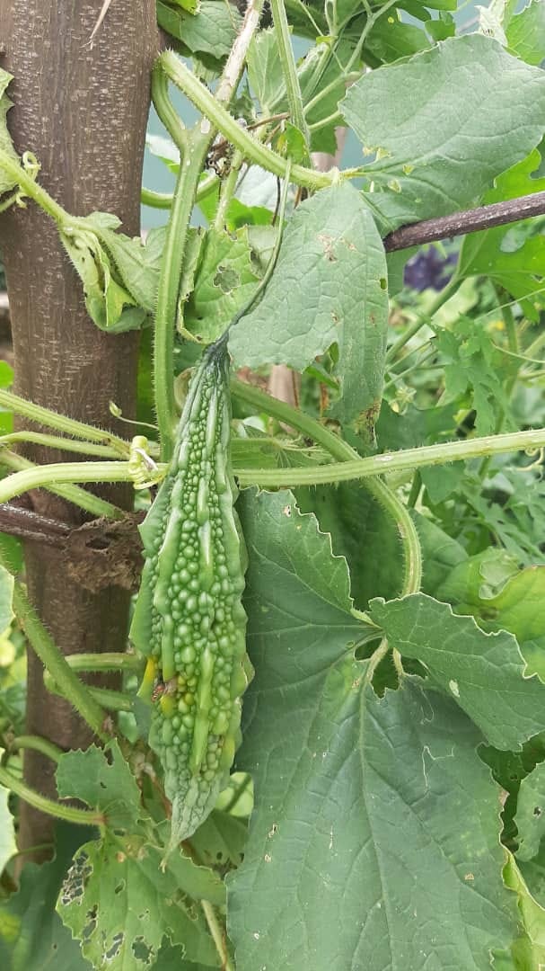 223053114 539844384124583 8150478801961861491 n