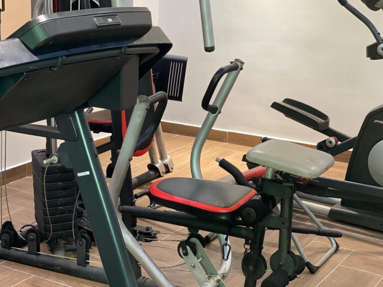 236140424 367795848068301 5762363367988479225 n 768x575