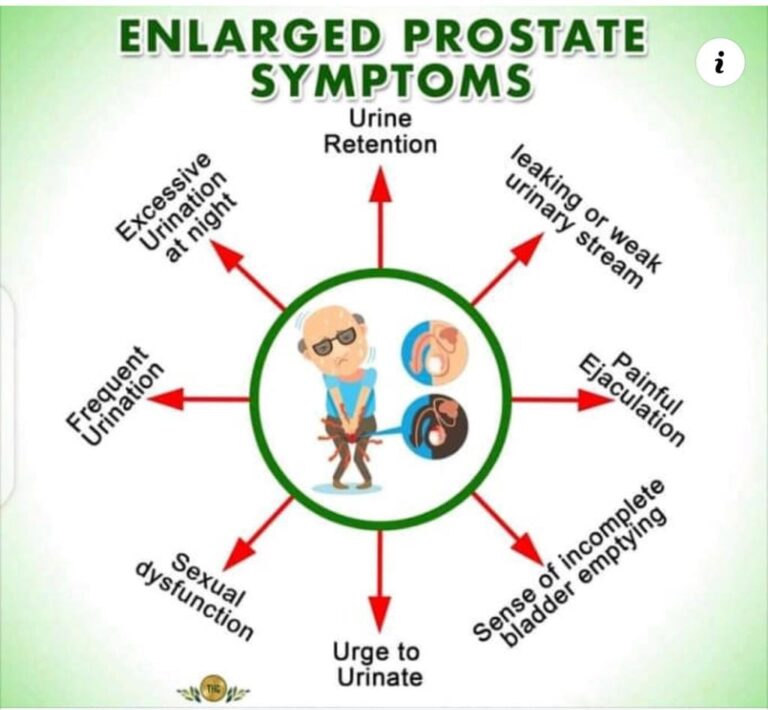 241680025 4366940836757055 6805939612348149886 n 768x710