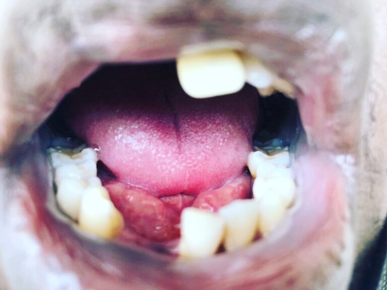 263093549 5174302892598747 1085009720189715845 n 768x576