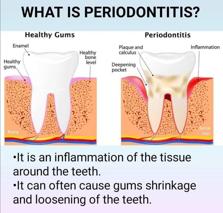 274976518 342161454495190 8572864128200183214 n 768x733