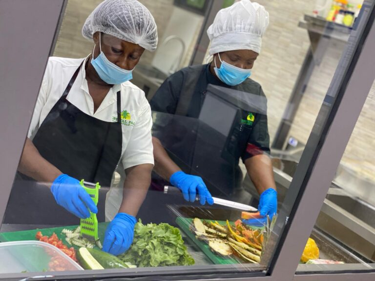 275070959 500060221508529 1801732774579182644 n 768x576