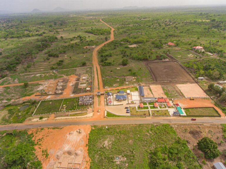 277737317 522137989483695 6778676875132408225 n 768x575