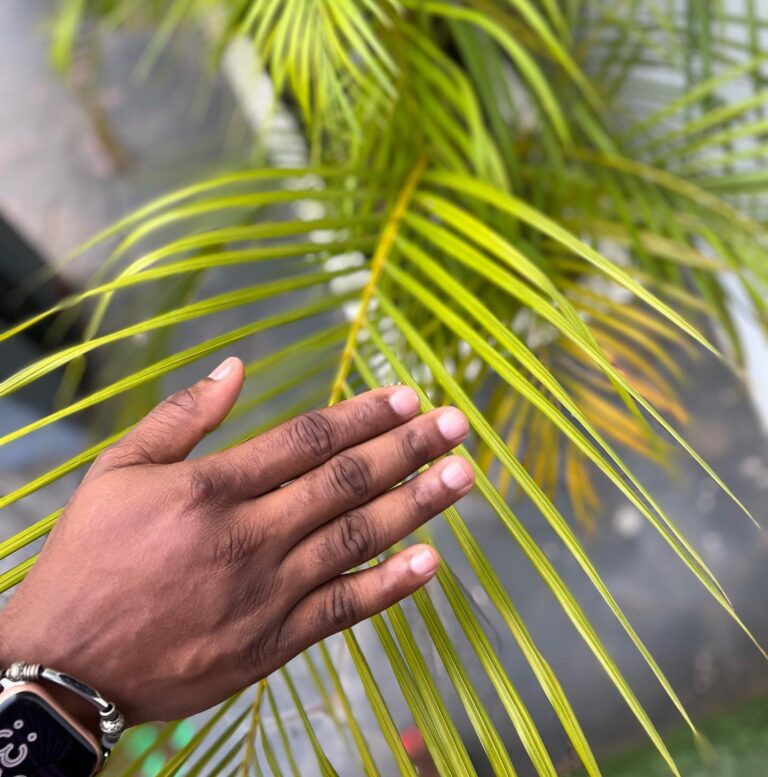 280029760 382798103796835 8001021132839441227 n 768x777