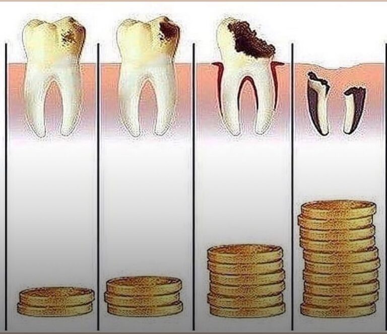 285387211 5074602952588720 2720673008885609864 n 768x663