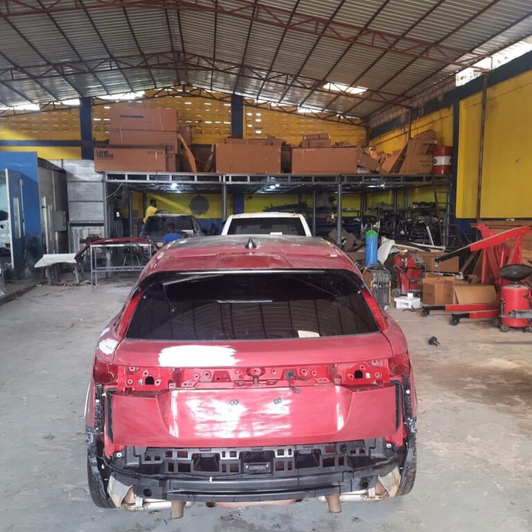 285854513 1150066582225160 590504347193094912 n 768x768