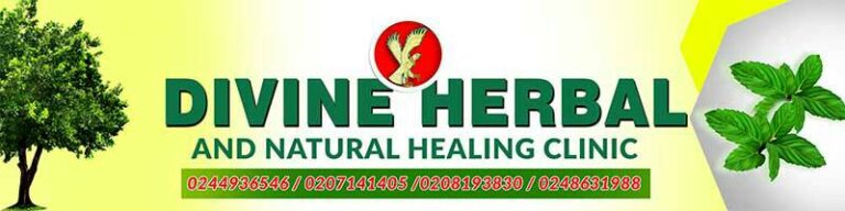 29543038 2170689566276348 5750502986901059671 n2 768x192