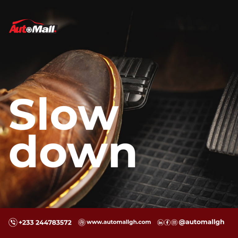 297238859 789358445835447 131247782875485810 n 768x768