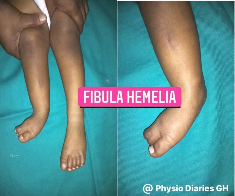 325855479 1884339325246998 2993530682768756948 n 768x642