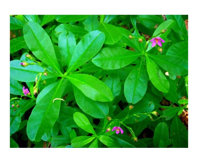 326148662 726696662356764 6021096169306139970 n 768x576