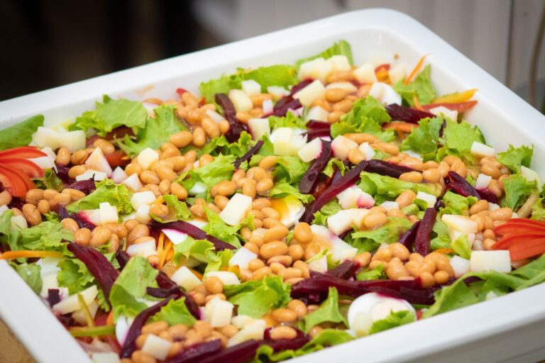 337888817 752243792965906 6599073280544696214 n 768x512