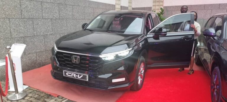 392813992 810779144410492 1284362185971947232 n 768x346