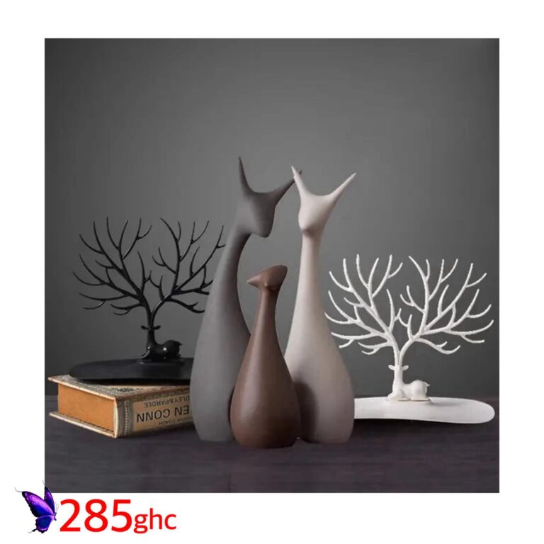 456719056 18248757019262546 2126582575953381164 n 768x768