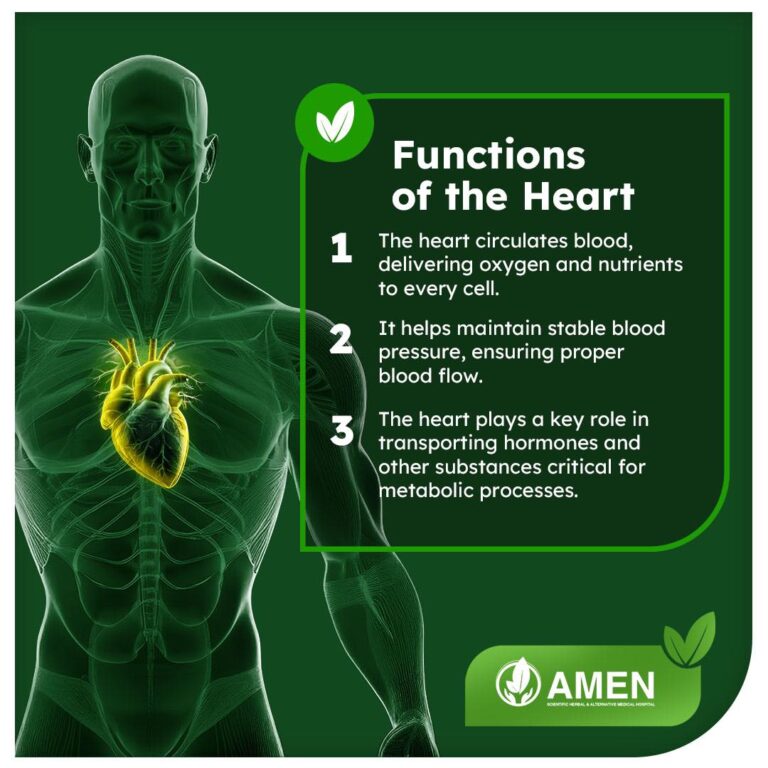 461518580 958151809677783 8614139797776451386 n 768x768