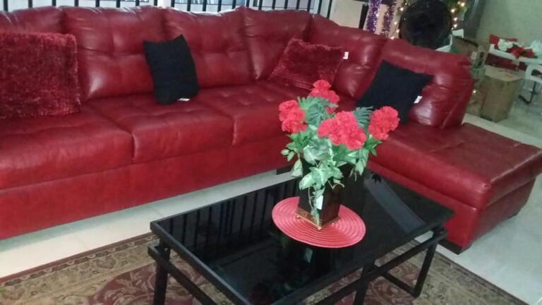 462007095 2294874147539454 6622305240908583223 n 768x432