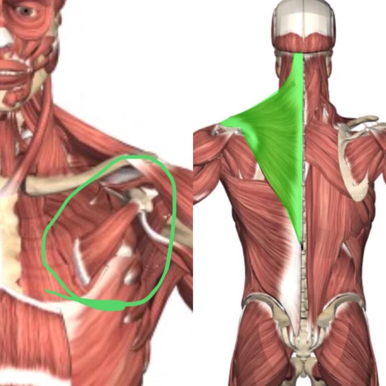 58380761 370410373565093 6996849415671513088 n 768x768