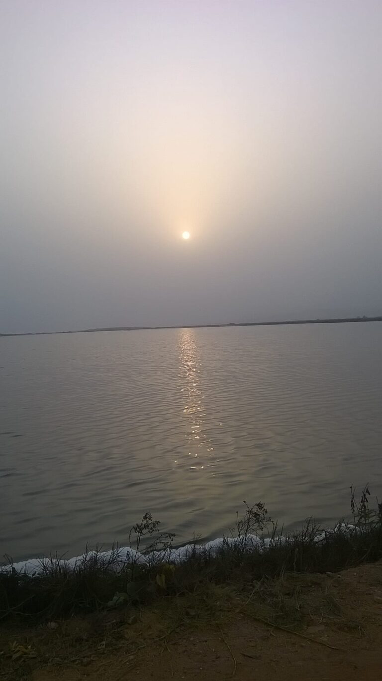 91354632 1550593741770820 4137942802031968256 n 768x1367