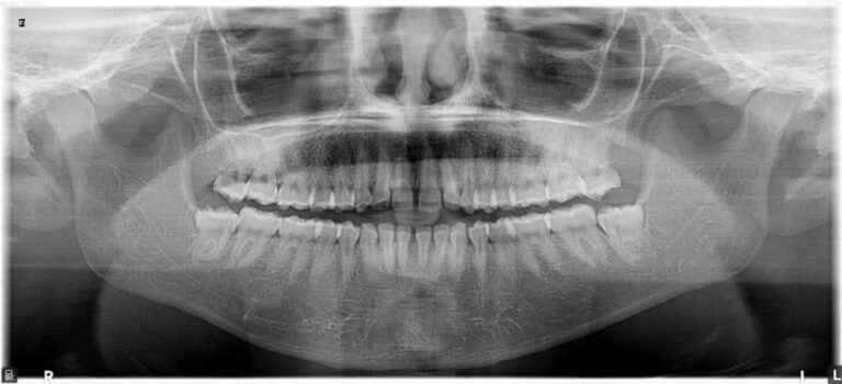 99425835 2582796475308058 2859934240399687680 n 768x350