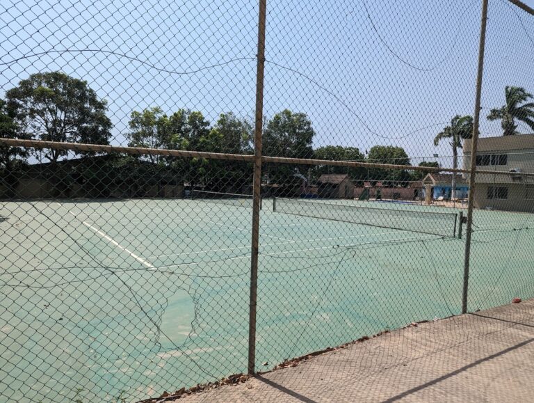 PXL 20221201 121750356 768x579