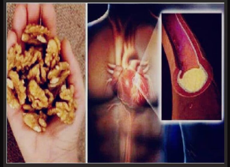 WhatsApp Image 2024 09 15 at 10.10.28 35679d2e 1024x744 1 768x558