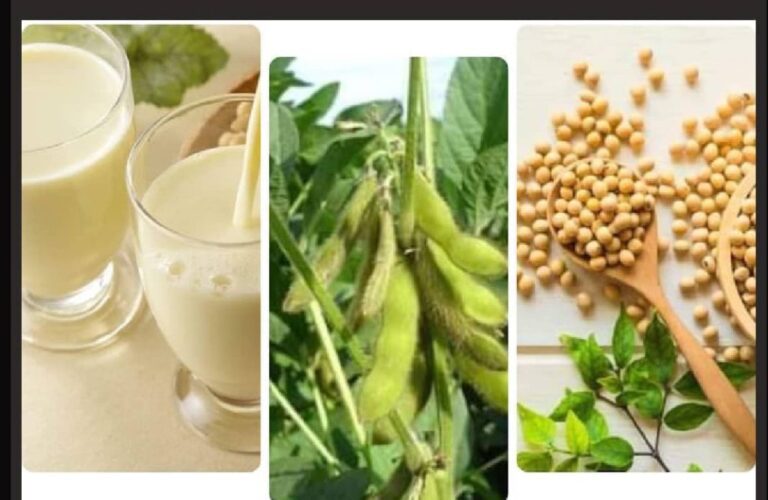 WhatsApp Image 2024 09 28 at 08.31.14 c020e9b3 1024x667 1 768x500