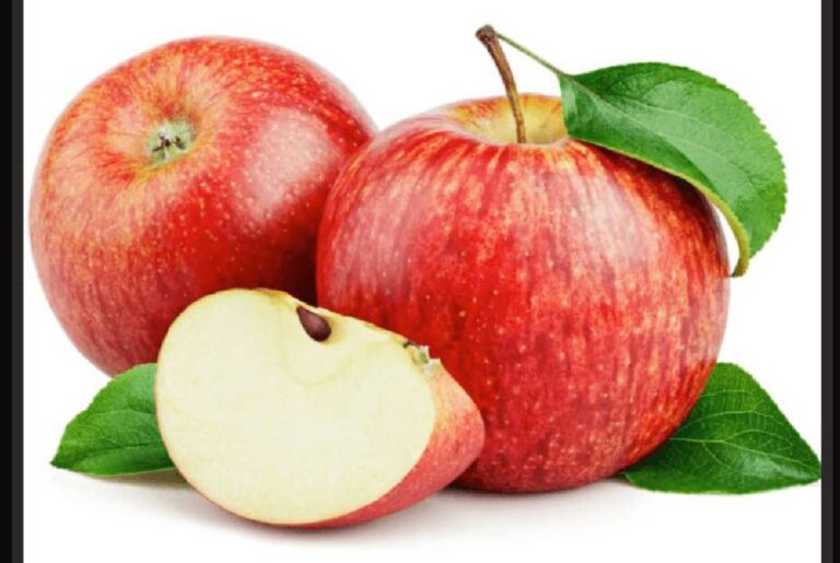 WhatsApp Image 2024 09 28 at 14.10.57 958e2112 1024x687 1 768x515