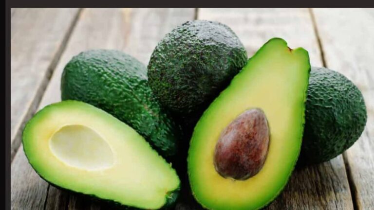 WhatsApp Image 2024 09 30 at 14.07.32 898cf0db 1024x576 1 768x432